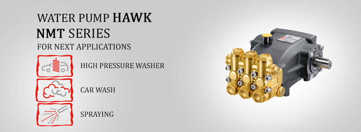 hawk