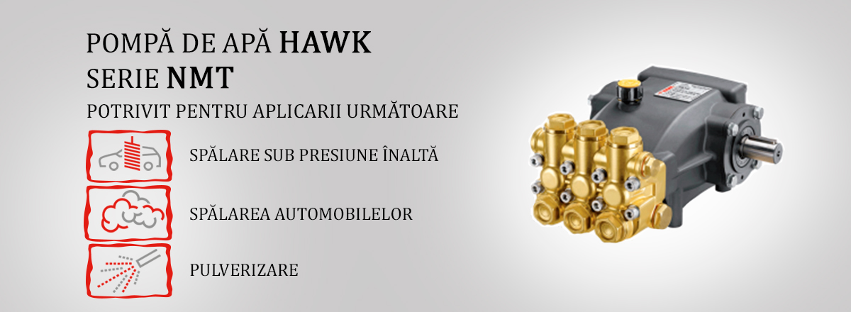 hawk